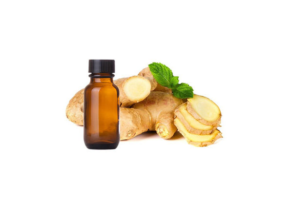 Ginger Oil