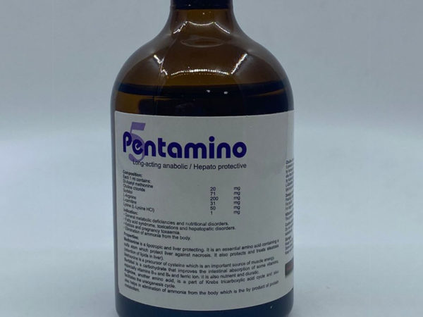 Pentamino