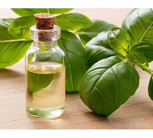 Basil Oil