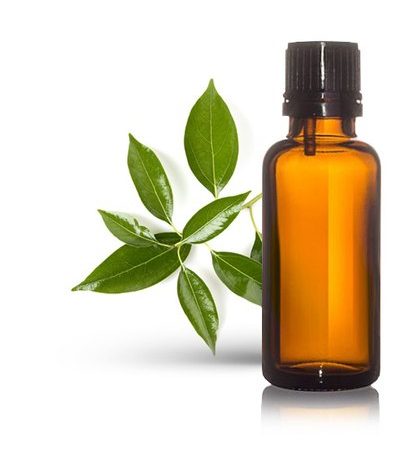 Camphor Oil