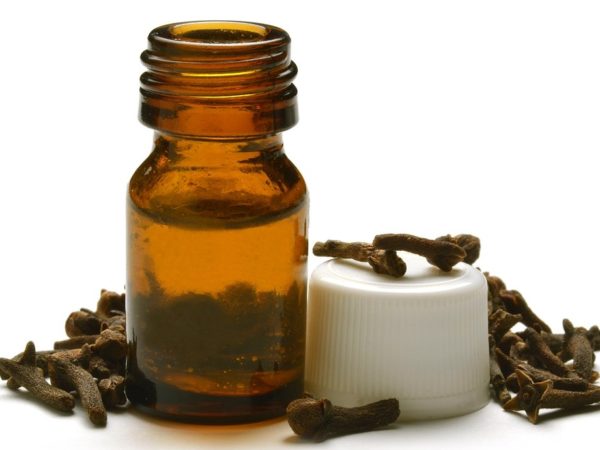 Clove oil