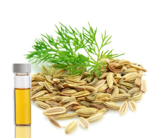 Dill Seed Oil – BP