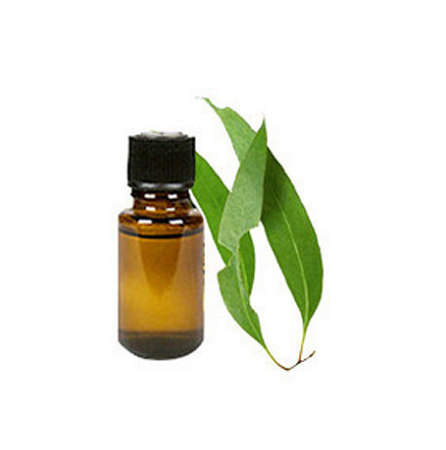 Eucalyptus Citriodora Oil