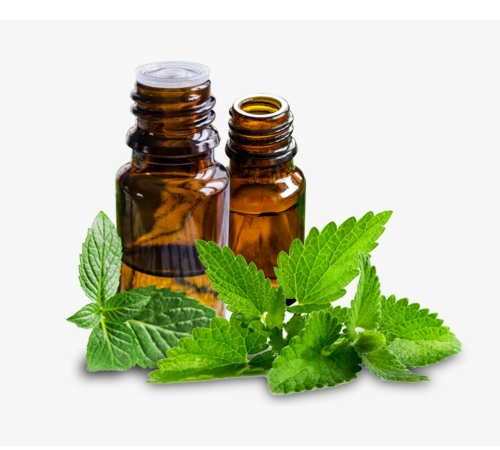 Peppermint Oil