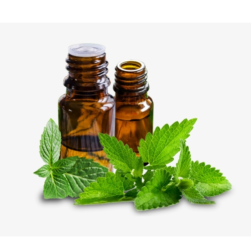 Peppermint Oil