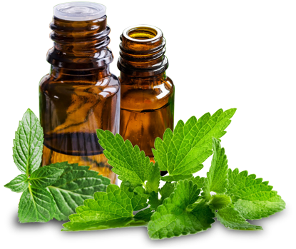 Spearmint Oil