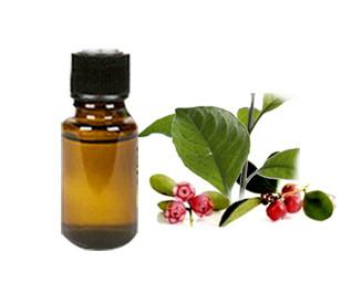 Wintergreen Oil